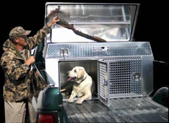 Kennel boxes for dogs - cats - lions - tigers