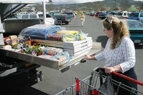 bedslide - cargo tray